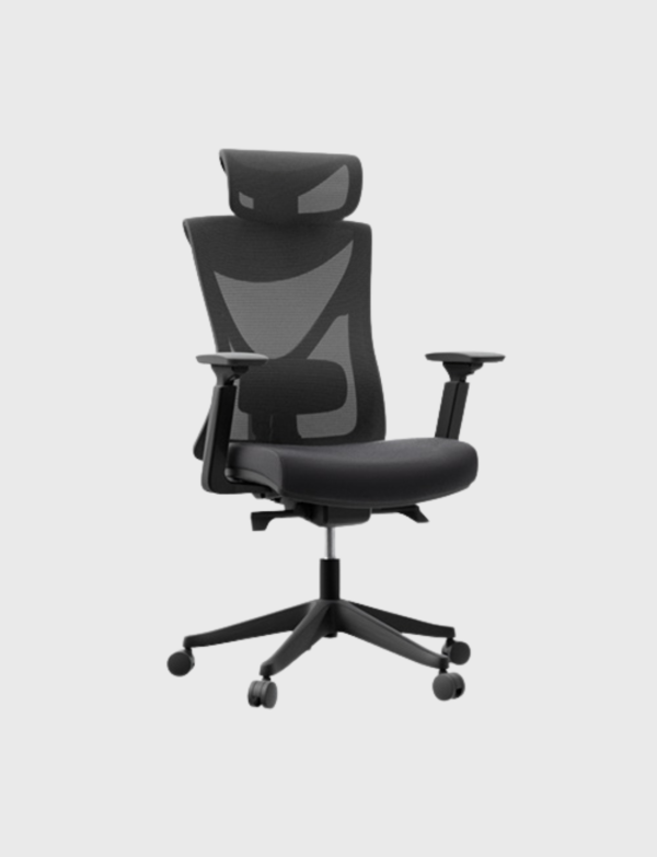 Lush Collective | Autonomous ErgoChair Curve Ergonomic Office Chair All Black