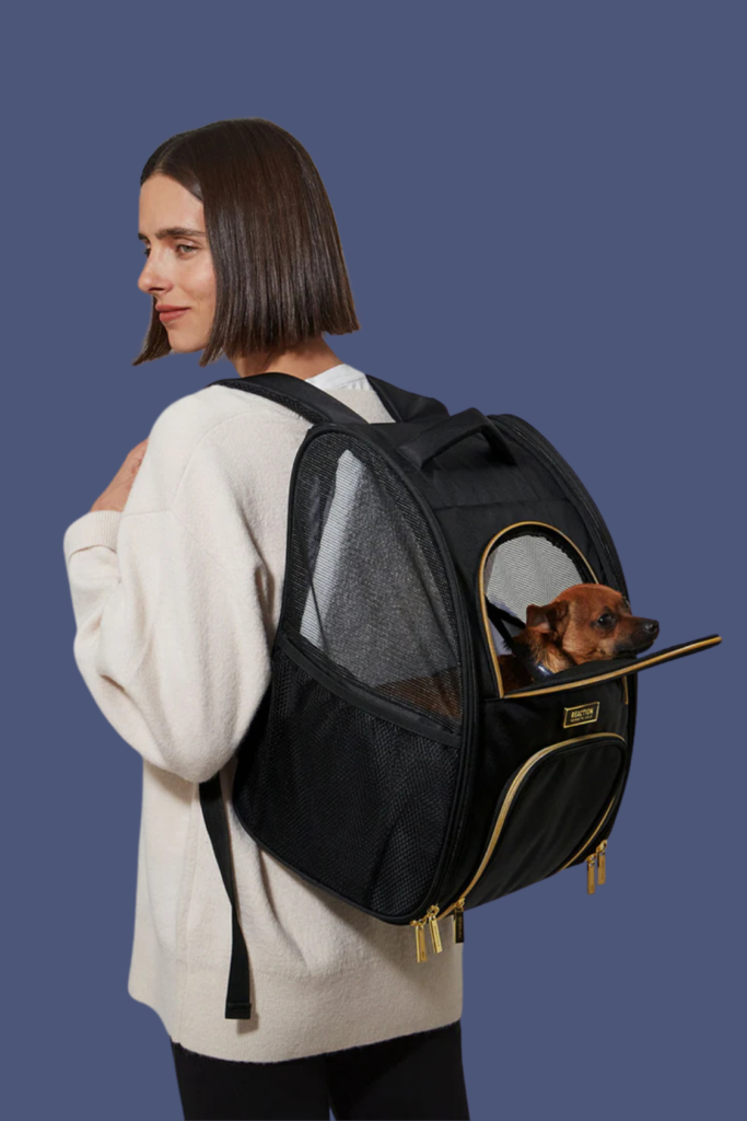 Lush Collective | Kenneth Cole Pet Carrier Backpack Holiday Gift Guide