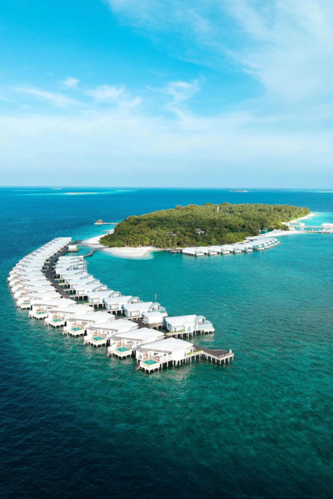 Lush Collective | Amilla Maldives