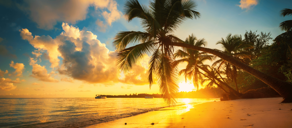 Lush Collective | Explore and Shop the Luxury Travel Collection