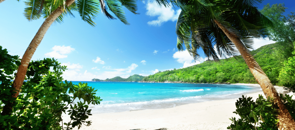 Lush Collective | Top Things to Do in the Seychelles