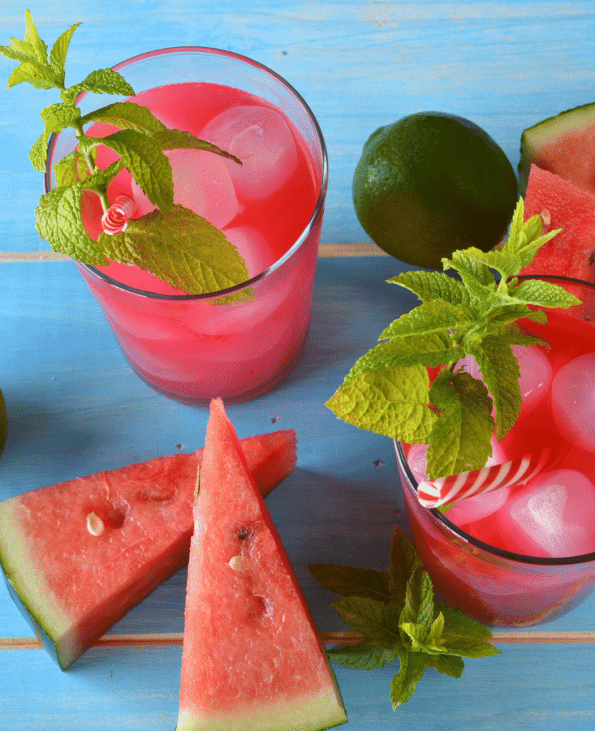 Lush Collective | Watermelon Mojito Recipe