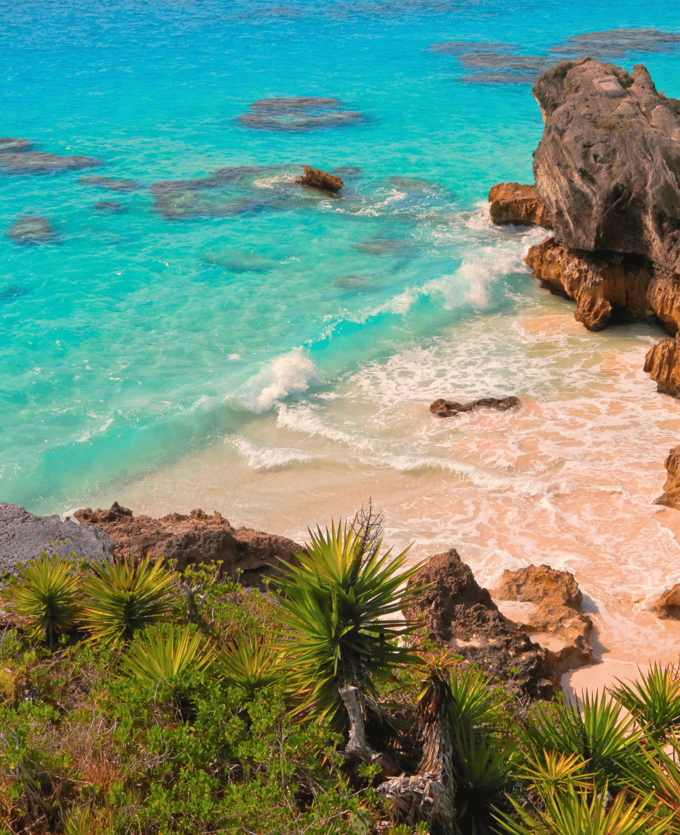 Lush Collective | Exploring Bermuda: An Island Paradise Full of Culture, Cuisine, and Coastal Charm
