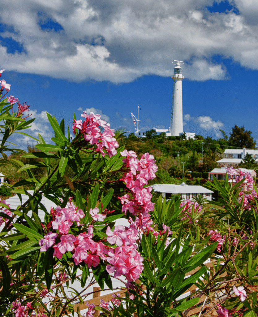 Lush Collective | Exploring Bermuda: An Island Paradise Full of Culture, Cuisine, and Coastal Charm - Best Time To Visit