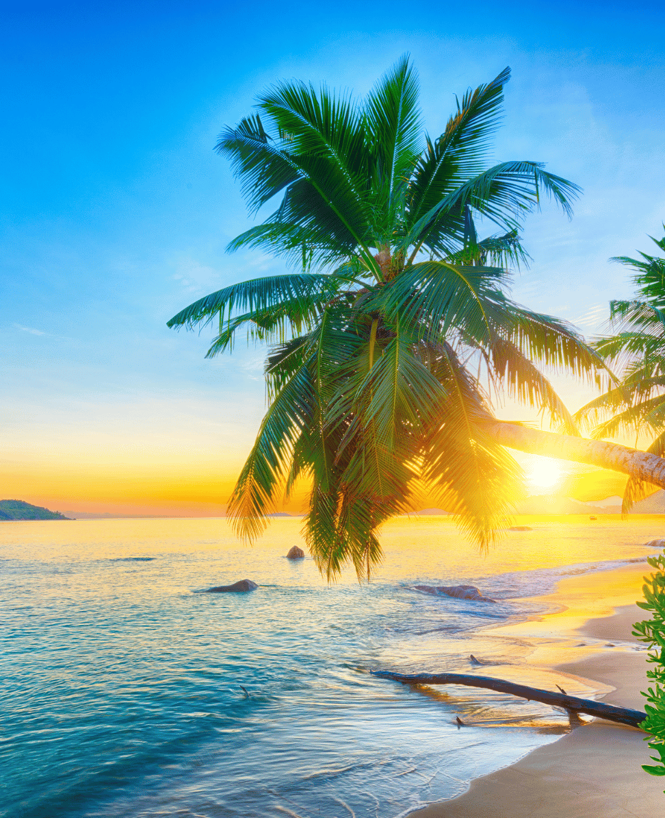 Lush Collective | Seychelles Travel Guide: Explore the Jewel of the Indian Ocean
