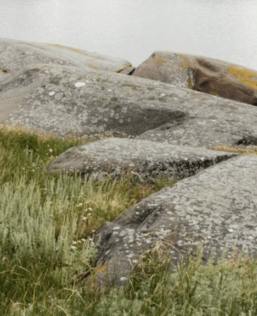 Lush Collective | Sandqvist’s Vision for Sustainable Travel: Where Ethics Meet Adventure