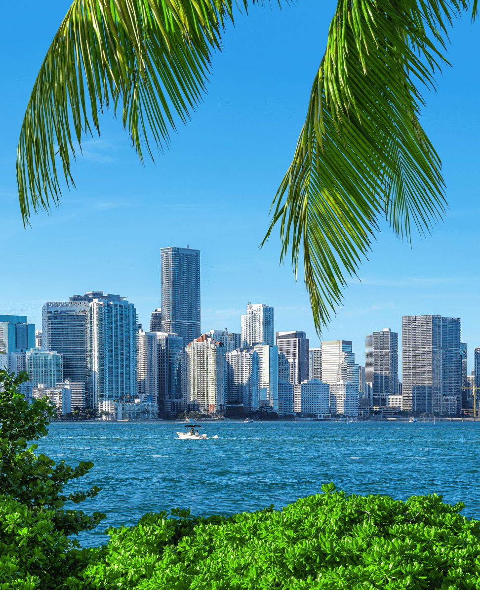 Lush Collective | Explore Miami Beach Hotels on Orbitz: Top Luxury Stays, Dining & Bars