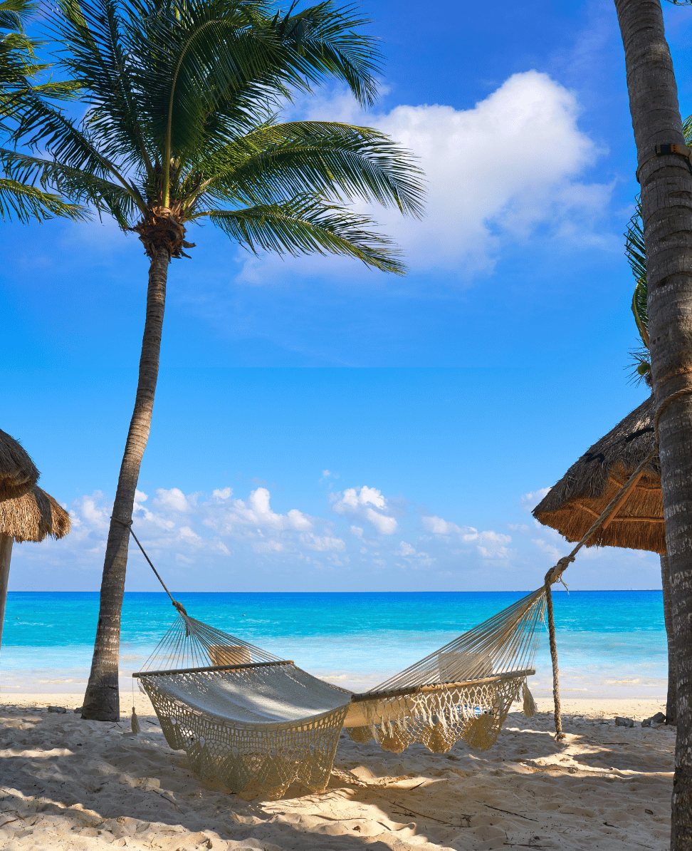 Lush Collective | Explore the Best Hotels in Playa del Carmen, Mexico on Orbitz
