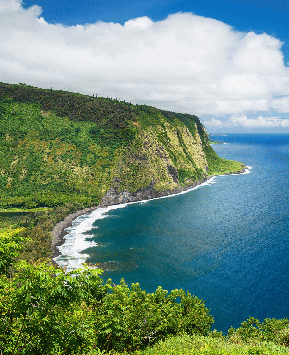 Lush Collective | Explore Luxury Resorts on Hawaii's Big Island with Orbitz