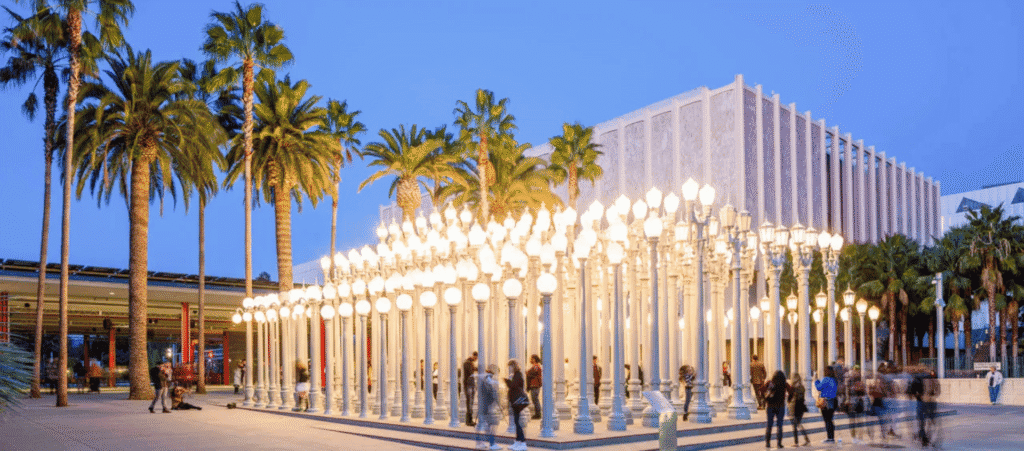 Lush Collective | Los Angeles County Museum of Art (LACMA)