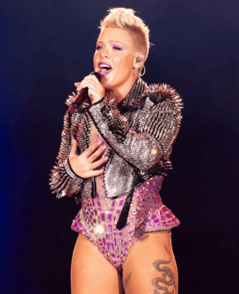 Lush Collective | Discover P!NK's Journey Through Her Music & Style