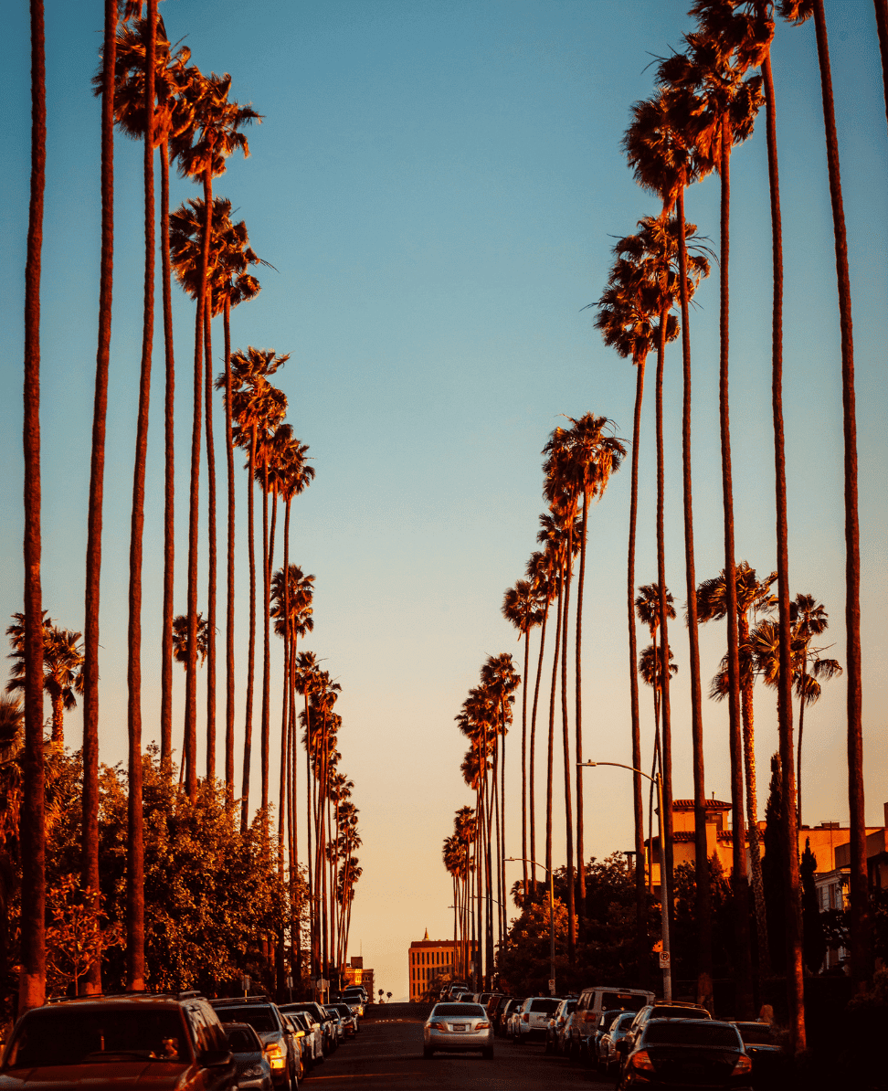 Exploring the Top 10 Museums in Los Angeles: A Culture Lover’s Guide