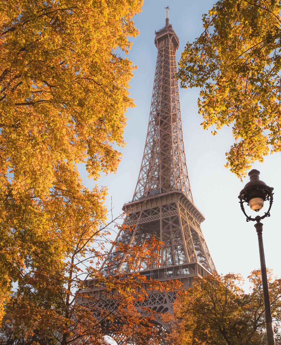 Eiffel Tower during autumn with colorful fall foliage and vintage street lamp.