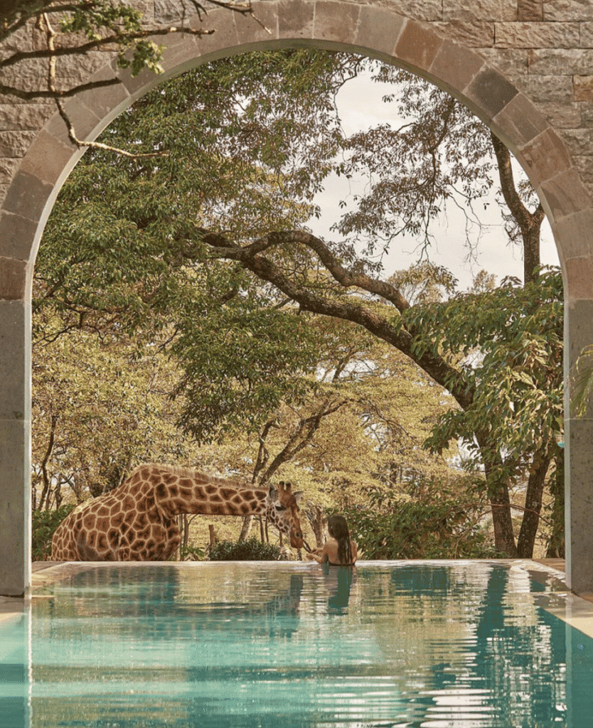 Lush Collective | Giraffe Manor: Nairobi’s Luxury Safari Stay