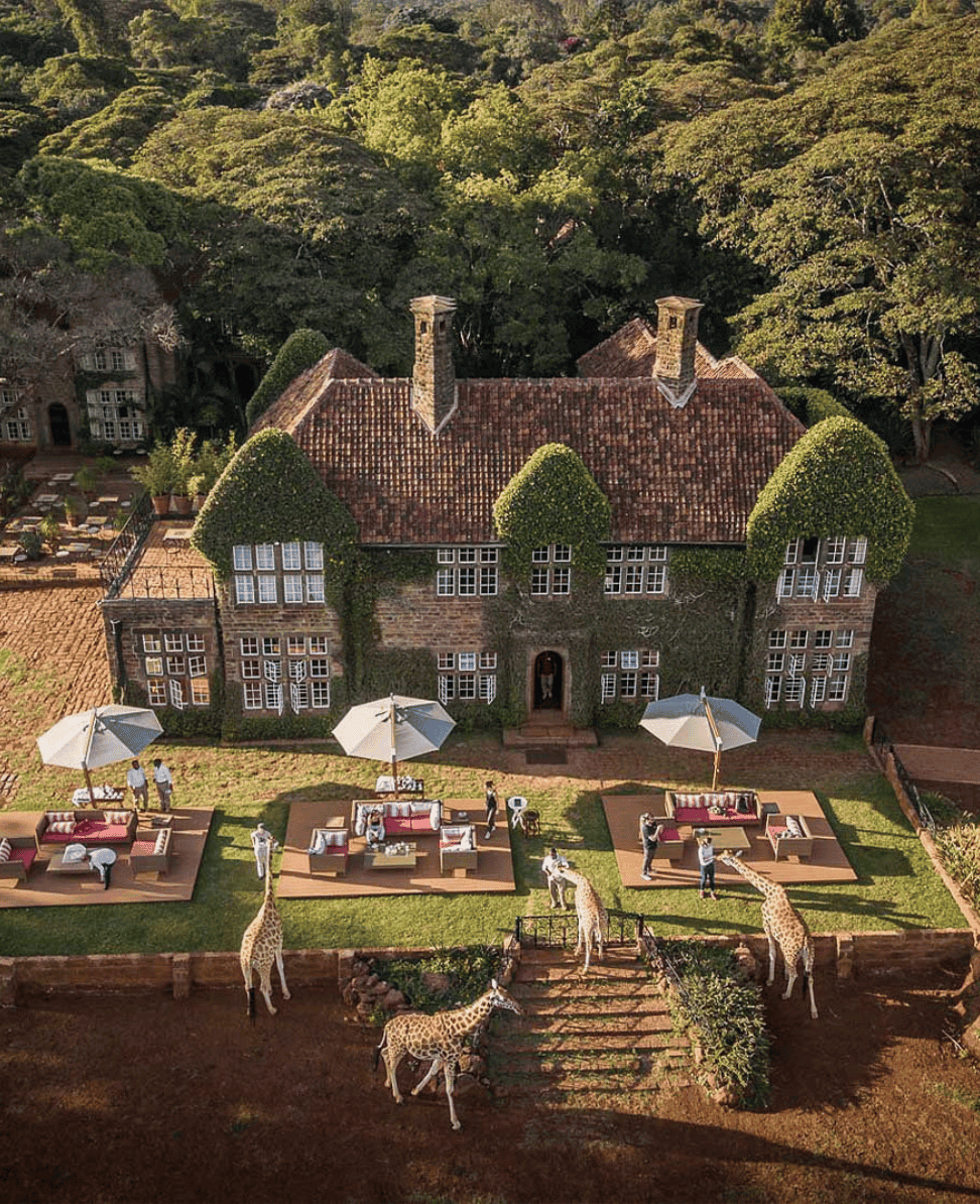 Lush Collective| Giraffe Manor: A Luxury Safari Stay Like No Other