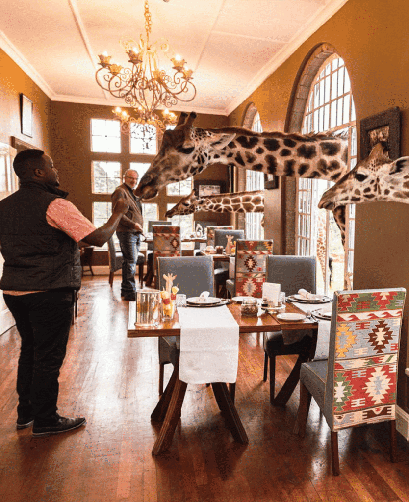 Lush Collective | Discover Giraffe Manor in Nairobi, Kenya—where luxury meets wildlife and Rothschild’s giraffes join you for breakfast in an unforgettable setting.