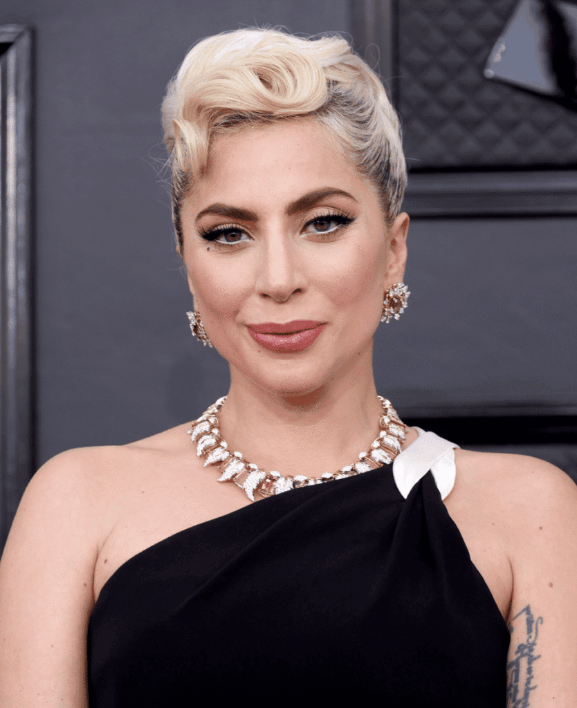 Lush Collective | Lady Gaga: Pop Icon, Art Rebel & Style Legend