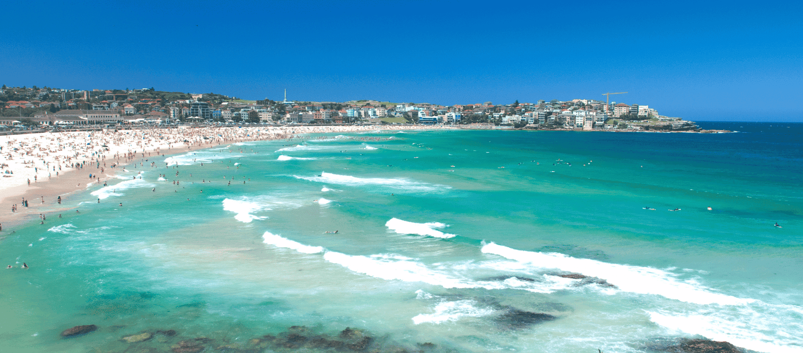 Lush Collective | Bondi Beach, Sydney, Australia